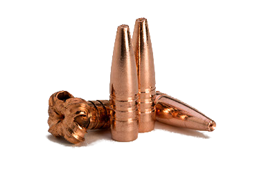 Ammunition Component Supplier